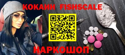 стаф Можга