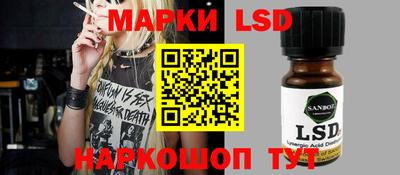 стаф Можга