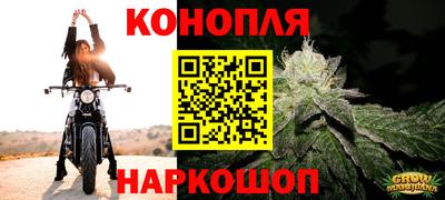 ешки Моздок