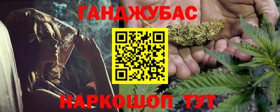 стаф Можга