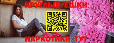 стаф Можга
