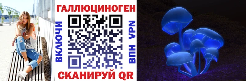 где купить наркотик  Прокопьевск  Псилоцибиновые грибы ЛСД 