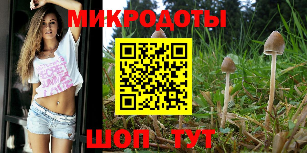 Псилоцибиновые грибы GOLDEN TEACHER Прокопьевск