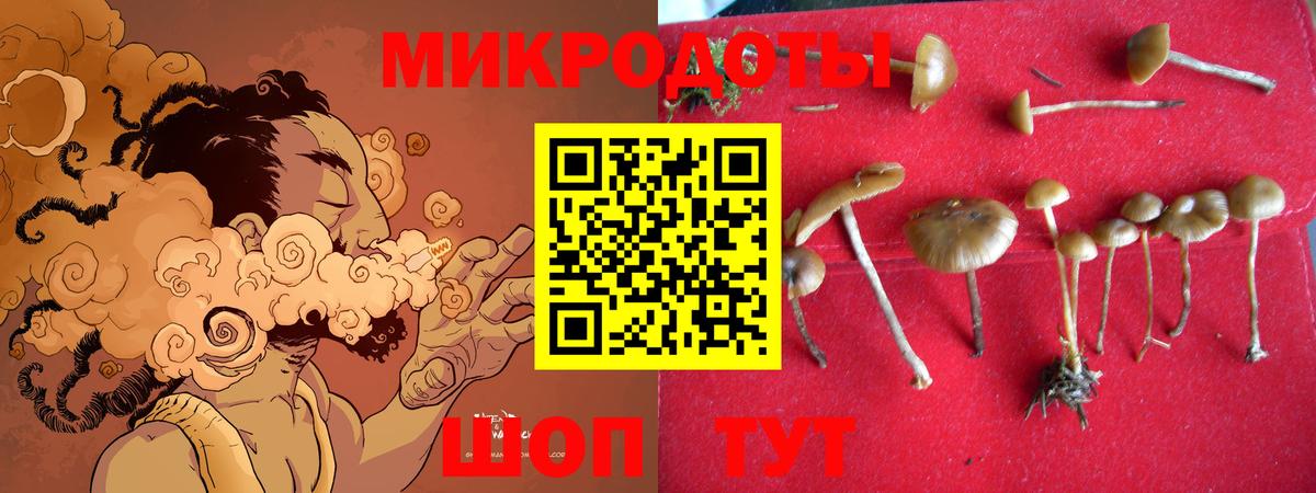 Псилоцибиновые грибы Magic Shrooms  Галлюциногенные грибы мицелий  Вход с VPN  Прокопьевск 