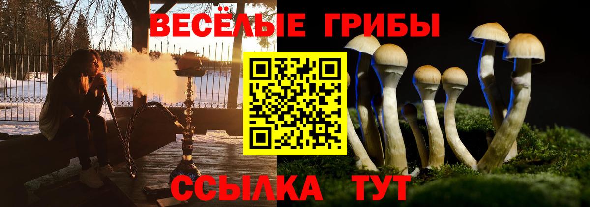Прокопьевск  Псилоцибиновые грибы GOLDEN TEACHER  Вход с VPN 