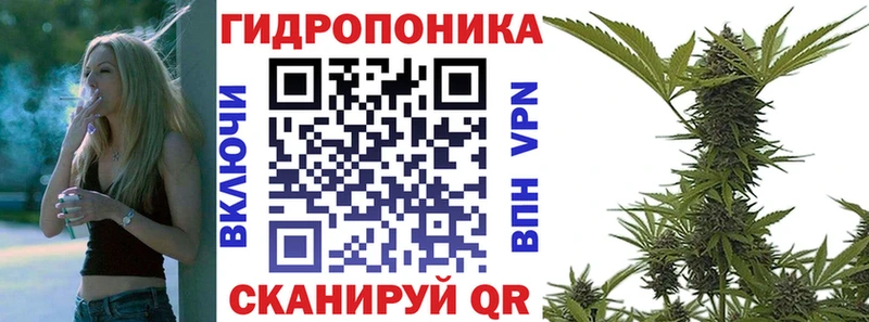 МАРИХУАНА ГИДРОПОН  Прокопьевск 